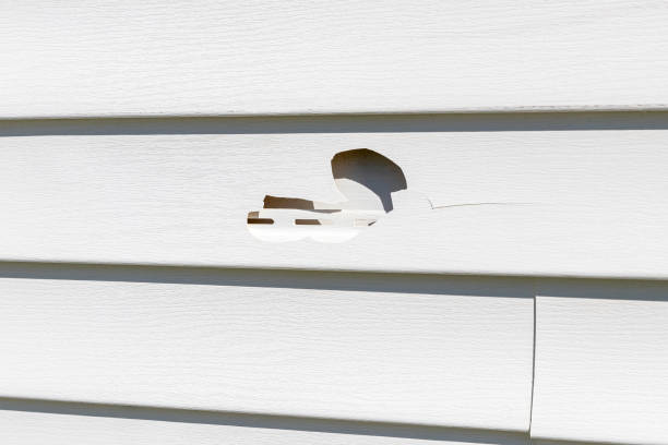 Best Appliance Removal  in Bent, NE