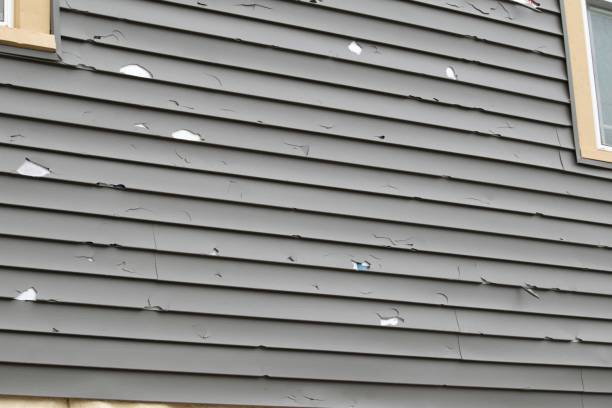 Best Demolition Debris Removal  in Bent, NE